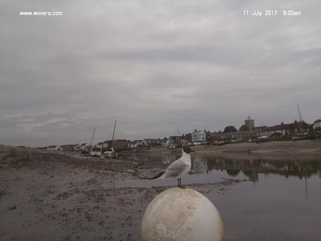image-170711-08-1